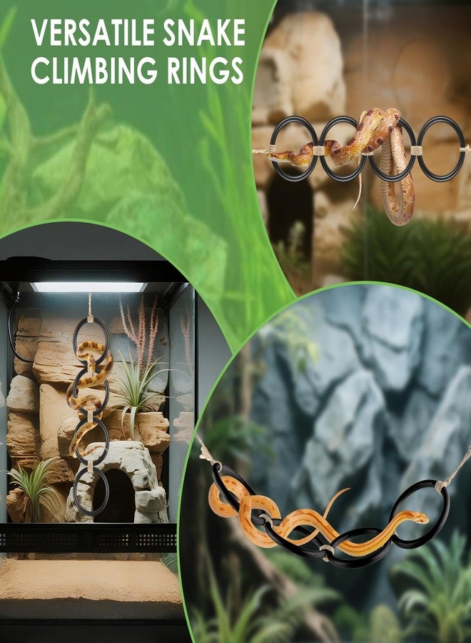 DBNESS 2PCS Snake Climbing Rings, Ball Python Enrichment Hoop Chain Toys, Adjustable Playground Reptiletank Cage Decor Accessories for Corn Snakes, Garter Snakes, Iguana, Lizards, Chameleons, Parrot - Image 5